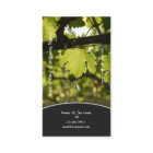 Weinkellereiweinbergtrauben-Geschäftsprofil