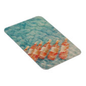 Weinkühlung 2010 magnet (Rechte Seite)