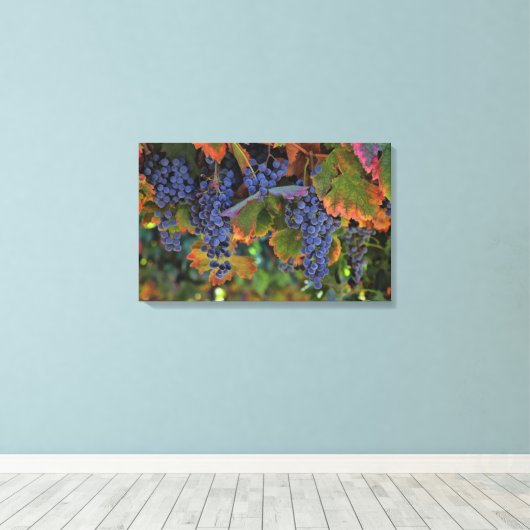 Weinkultur und Erde Leinwand Weinroute Mendrisiott (Insitu (Holzboden))