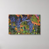 Weinkultur und Erde Leinwand Weinroute Mendrisiott (Vorderseite)