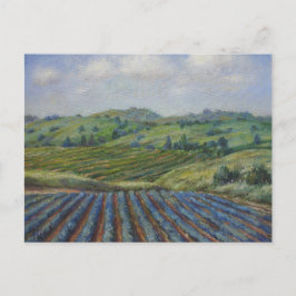Weinland Postkarte