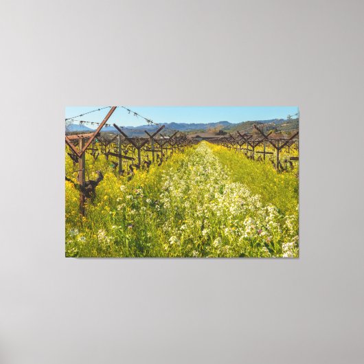 Weinlandfrühling Leinwanddruck (Vorderseite)