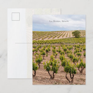 Weinlandschaft La Rioja, Spanien Postkarte