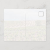Weinlandschaft La Rioja, Spanien Postkarte (Rückseite)