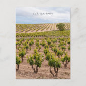 Weinlandschaft La Rioja, Spanien Postkarte (Vorderseite)