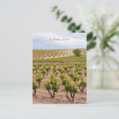 Weinlandschaft La Rioja, Spanien Postkarte (Stehend Vorderseite)