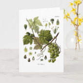 Weinrebe Karte (Gelbe Blume)