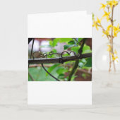 Weinrebe Karte (Gelbe Blume)