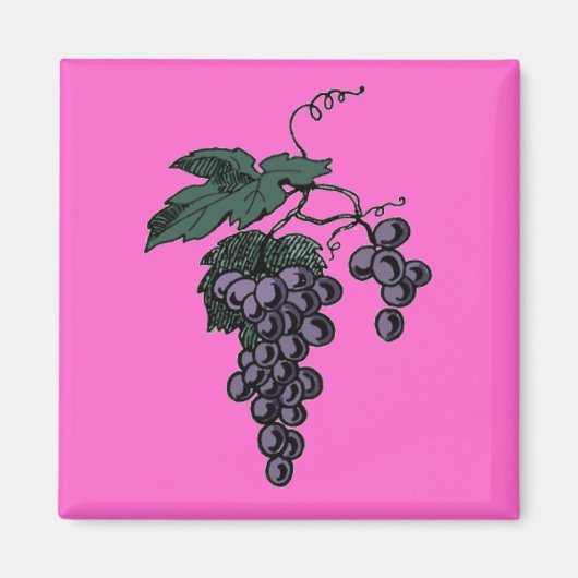 Weinrebe Magnet (Vorne)