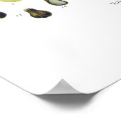 Weinrebe Poster (Ecke)