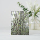 Weinrebe und Zweige, die im Regenwald verdreht sin Postkarte (Stehend Vorderseite)