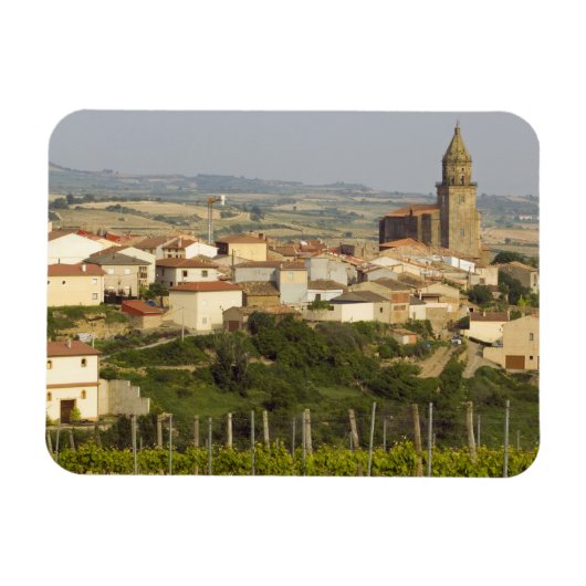 Weinreben im Vordergrund Magnet (Horizontal)