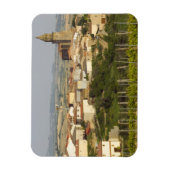 Weinreben im Vordergrund Magnet (Vertikal)