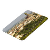 Weinreben im Vordergrund Magnet (Linke Seite)