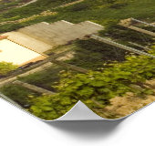 Weinreben im Vordergrund Poster (Ecke)