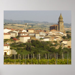 Weinreben im Vordergrund Poster