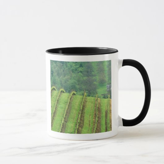 Weinreben in der Nähe von Newberg Oregon Tasse (Rechts)