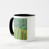 Weinreben in der Nähe von Newberg Oregon Tasse (Vorderseite Links)