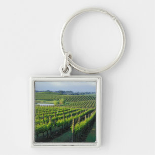 Weinreben in ordentlichen Reihen in Kaliforniens N Schlüsselanhänger