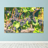 Weinreben Leinwanddruck (Insitu (Holzboden))