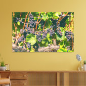 Weinreben Leinwanddruck (Insitu (Wohnzimmer))