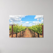 Weinreben Leinwanddruck (Vorderseite)