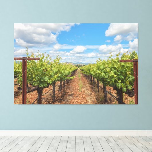 Weinreben Leinwanddruck (Insitu (Holzboden))