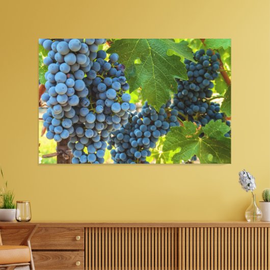 Weinreben Leinwanddruck (Insitu (Wohnzimmer))