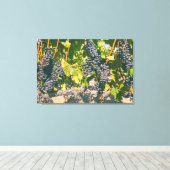 Weinreben Leinwanddruck (Insitu (Holzboden))