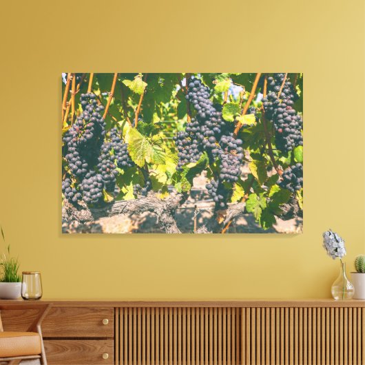 Weinreben Leinwanddruck (Insitu (Wohnzimmer))