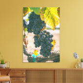 Weinreben Leinwanddruck (Insitu (Wohnzimmer))