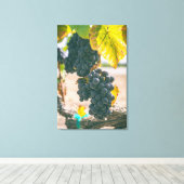 Weinreben Leinwanddruck (Insitu (Holzboden))