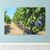 Weinreben Leinwanddruck (Insitu (Holzboden))