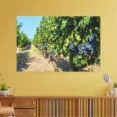 Weinreben Leinwanddruck (Insitu (Wohnzimmer))