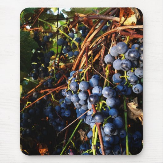 Weinreben Parlamentarier Mousepad (Vorne)