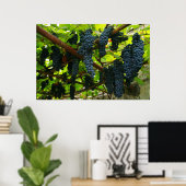 Weinreben Poster (Heimbüro)