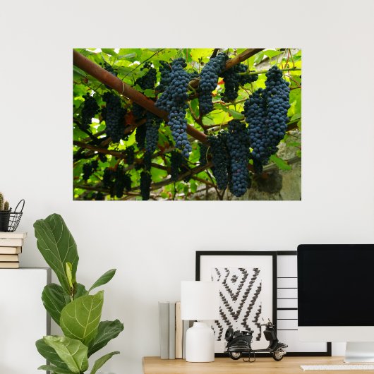 Weinreben Poster (Heimbüro)