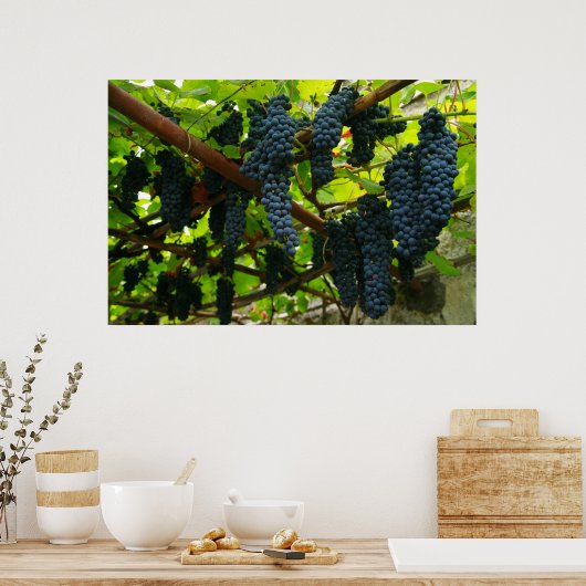 Weinreben Poster (Küche)