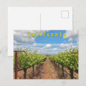 Weinreben Postkarte (Vorne/Hinten)