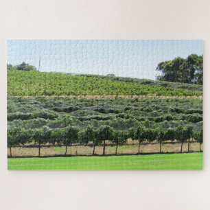 Weinreben Puzzle