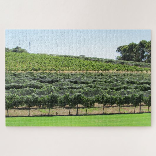 Weinreben Puzzle (Horizontal)