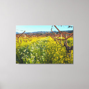Weinreben und Senfblumen Leinwanddruck