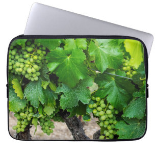 Weinrebenanbau, Frankreich Laptopschutzhülle