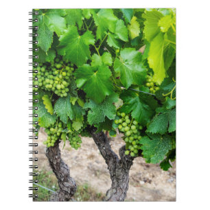 Weinrebenanbau, Frankreich Notizblock