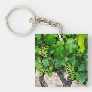 Weinrebenanbau, Frankreich Schlüsselanhänger