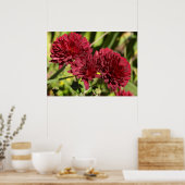 Weinrote Chrysanthemen Poster (Küche)