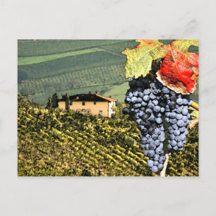 Weinroute Toskana Postkarte