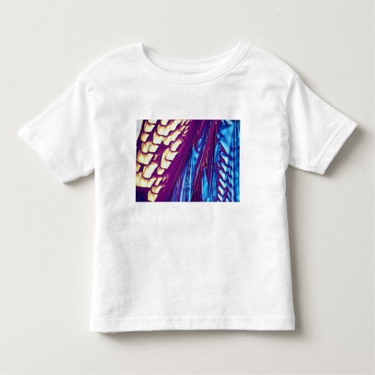 Weinsäure-Kristalle Kleinkind T-shirt (Vorderseite)