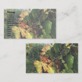 Weinstock, Toskana, Italien Visitenkarte (Vorne/Hinten)