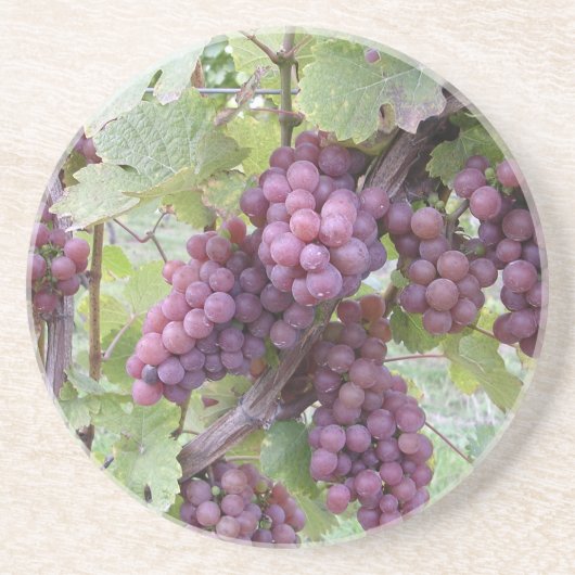 Weinstock-Untersetzer Untersetzer (Vorne)